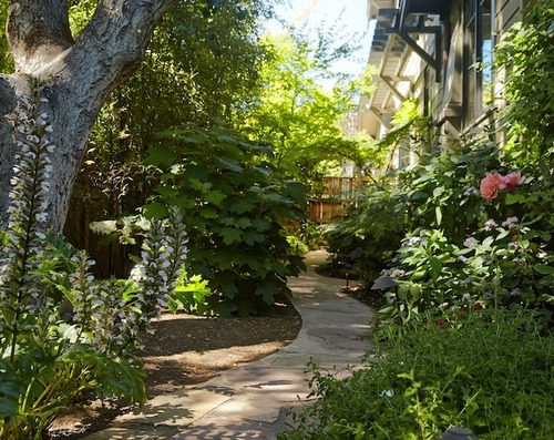 gardenista2