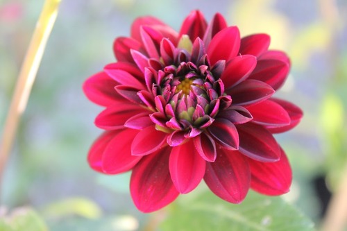 Oct21 (11)