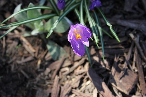 Apr23_cr
