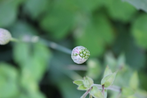 June28_ (29)