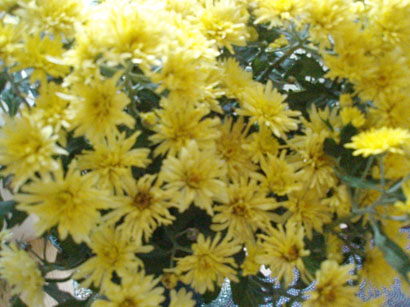 ae6cb784.jpg