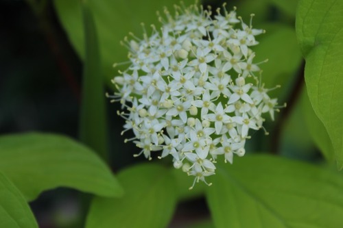 May28_dw3