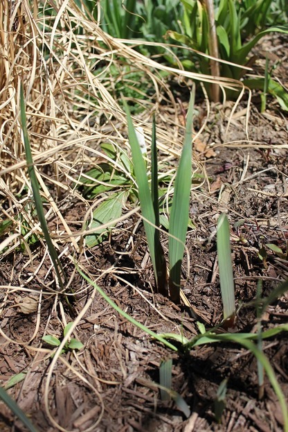Apr23_mp