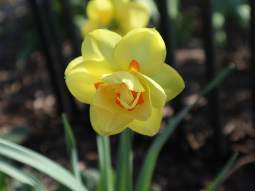 May9 (3)