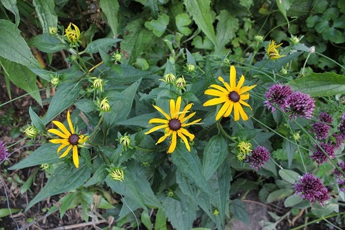 July30_ (13)