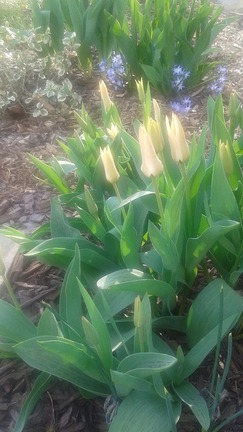 20150506_074601