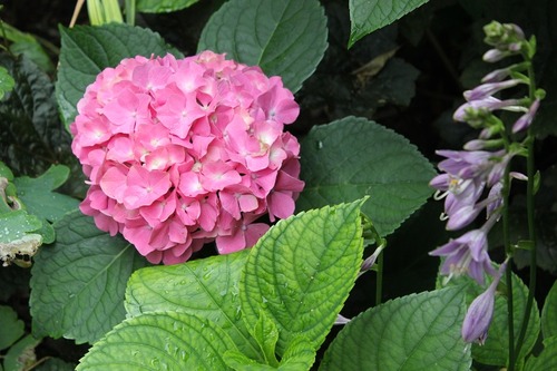 July23_ (21)