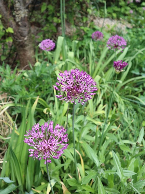 May26 (1)