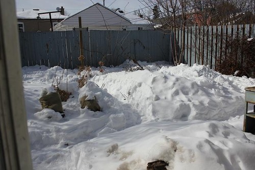 Feb17_by1