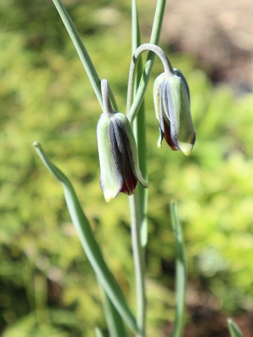 May13 (17)