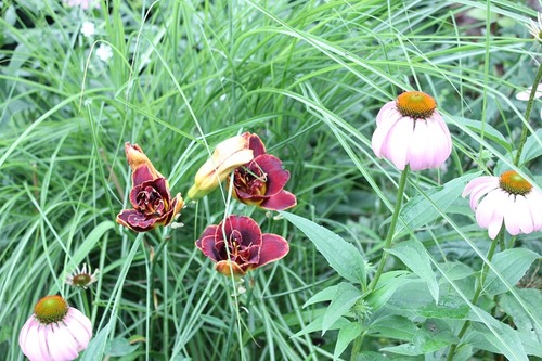 July23_ (13)