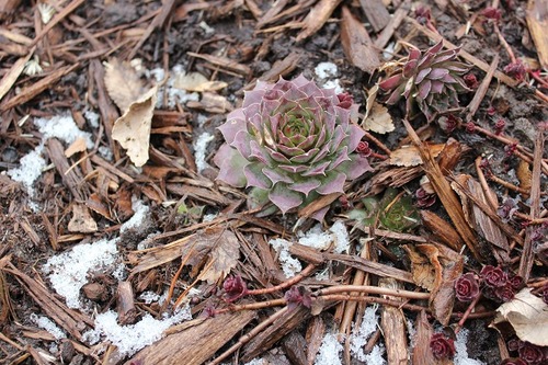 Jan30_hac