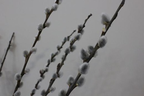 Mar16pw2
