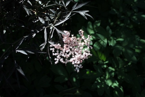 June22_bl