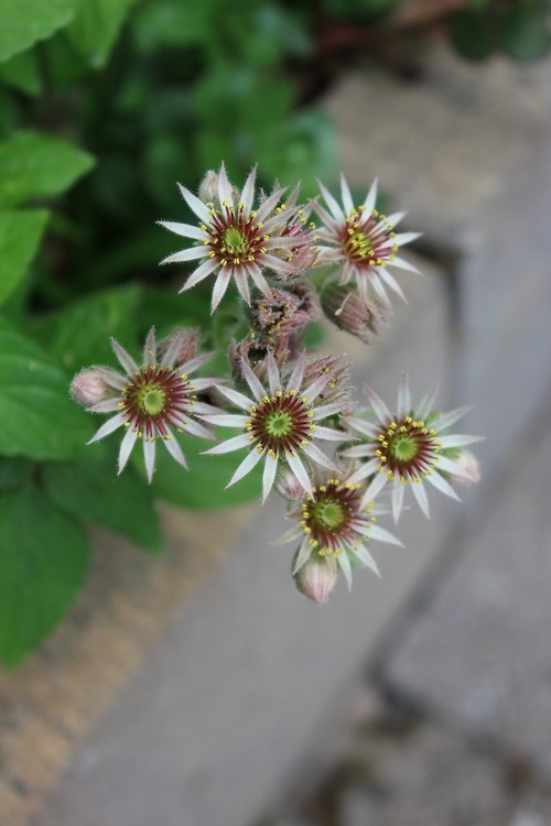 July22_ (10)
