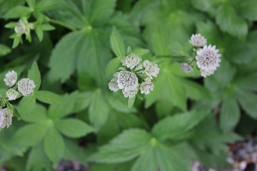 June24_ (22)
