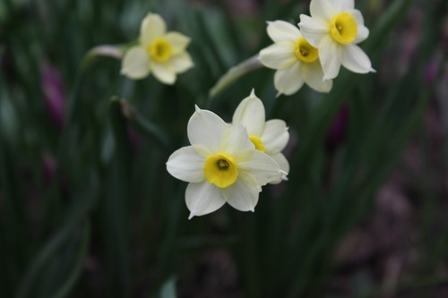 Apr29_dminnow2