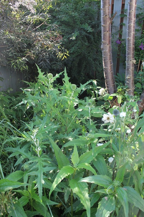 June28_ (31)