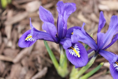 April26_mih2
