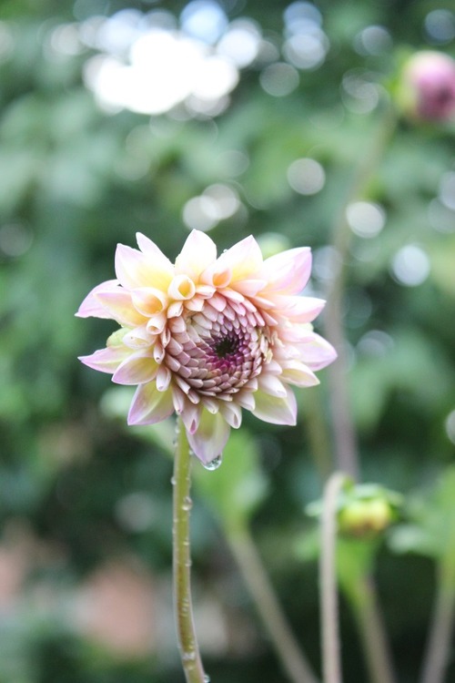 Aug5 (2)