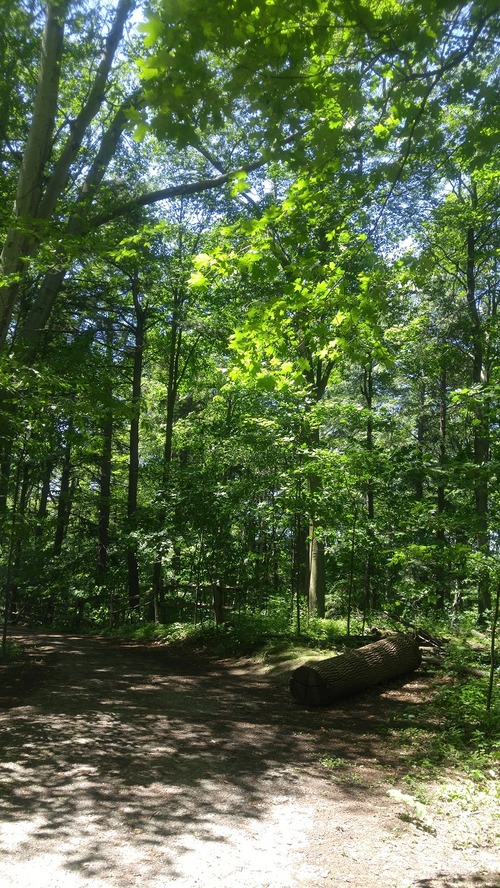 July8_Kortright (1)
