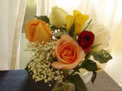 roses