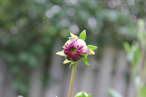 July14_ (1)