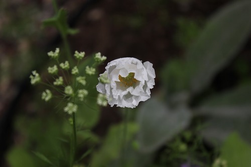July27_ (35)