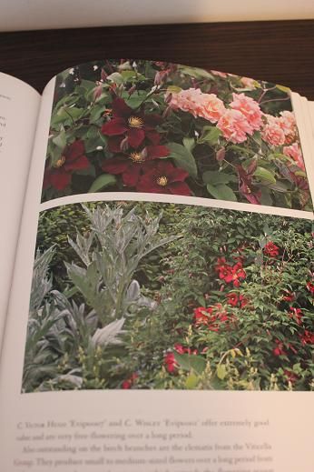 Book_Clematis3