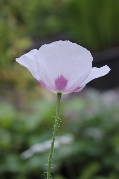 July30_ (32)