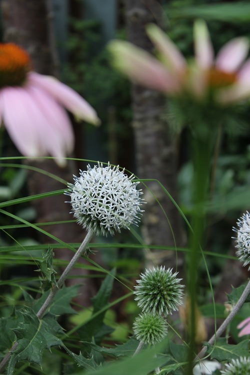 July22_ (49_1)