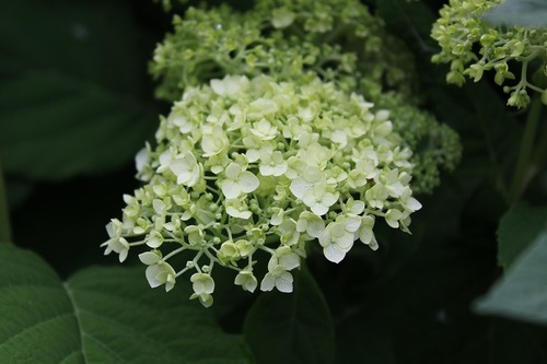 June24_ (6_1)
