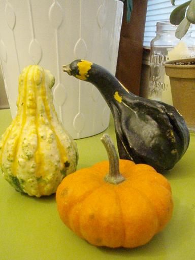 gourds