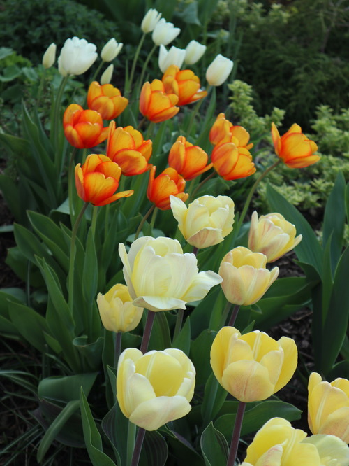 May14 (9)