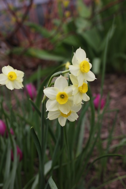 Apr29_ dminnow3
