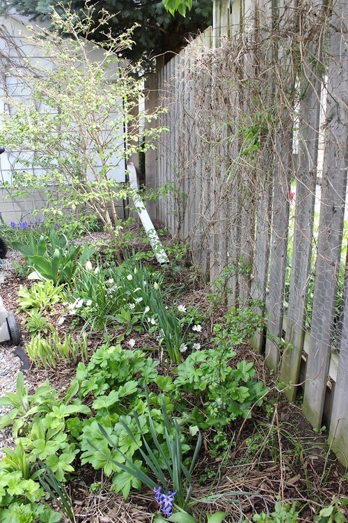 May13_bysf