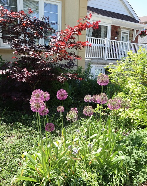 June2 (23)