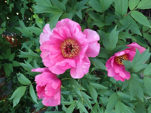 May28 (5)