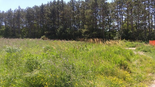 July8_Kortright (20)