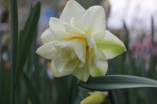 Apr29_do
