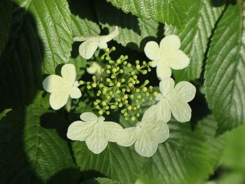 May28 (13)