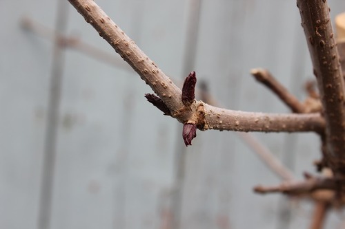 April26_bl