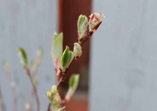 May3_sb