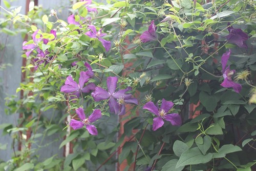 Aug19 (4)