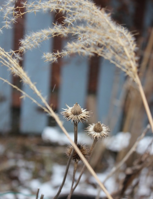 Jan29_epog