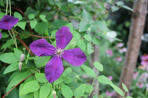 Aug15 (32)