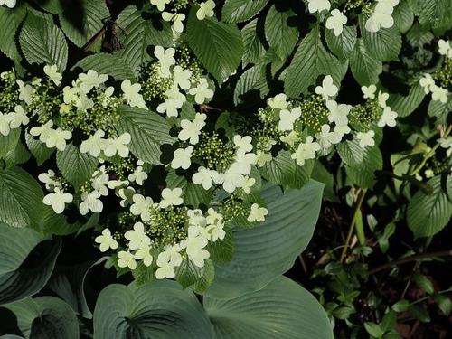 May29 (16)