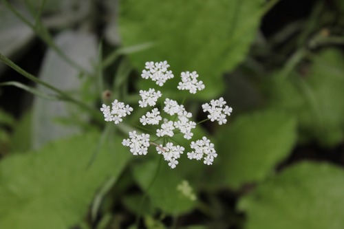 July23_ (1)