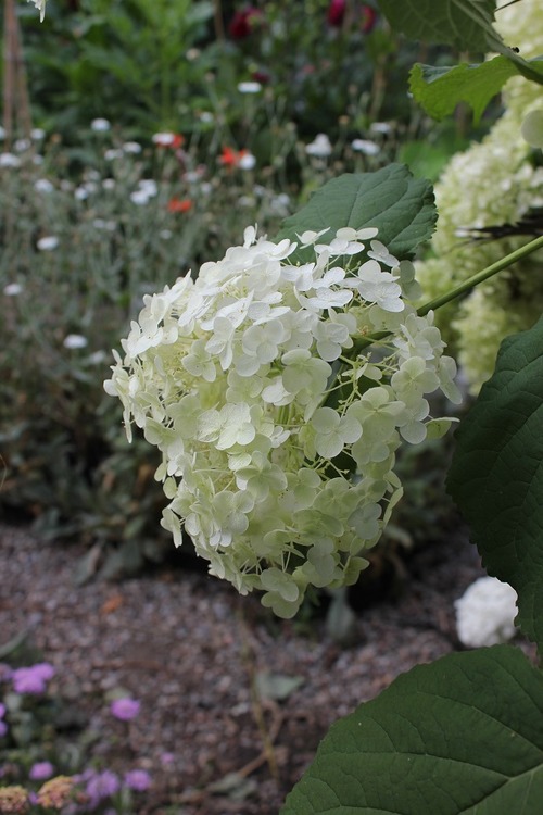 July30_ (22)