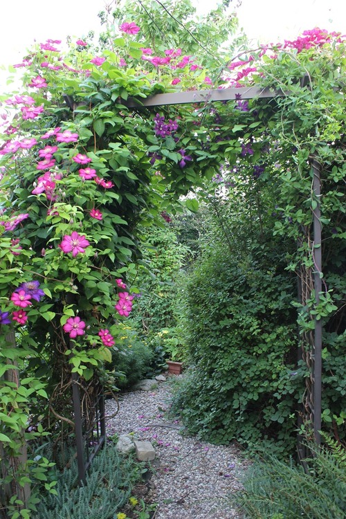 July22_ (5)